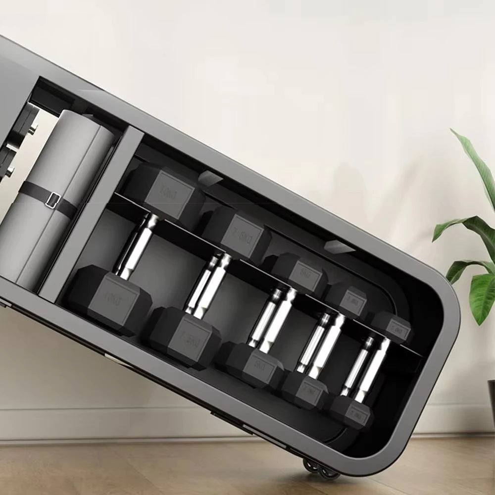 Compact Dumbbell Storage & Weight Bench