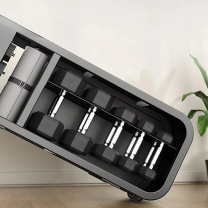 Compact Dumbbell Storage & Weight Bench